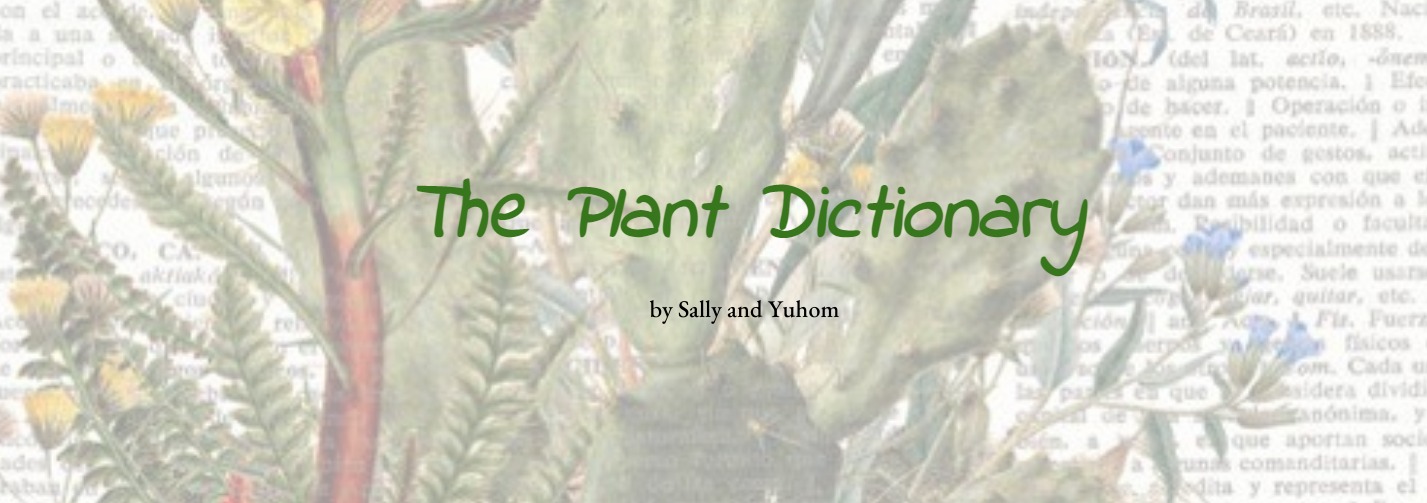 FireShot Capture 656 - The Plant Dictionary - https___sites.google.com_view_theplantdictionary_home.jpg