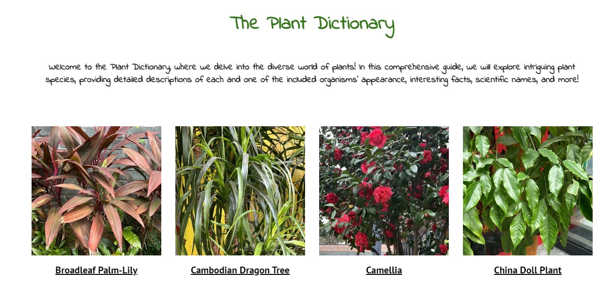 FireShot Capture 657 - The Plant Dictionary - https___sites.google.com_view_theplantdictionary_home.jpg