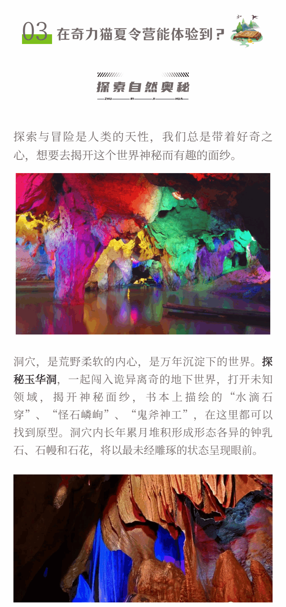画板 1(4).gif