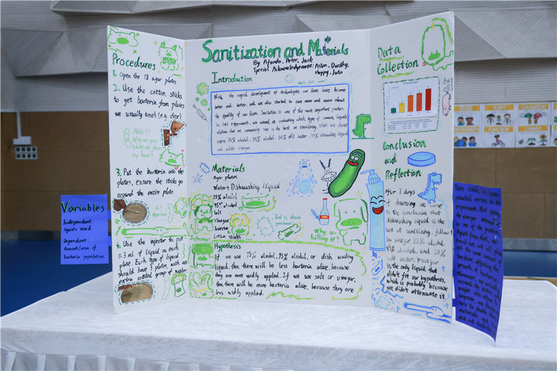 MYP4-The Best Ways to Sanitize Objects.jpg