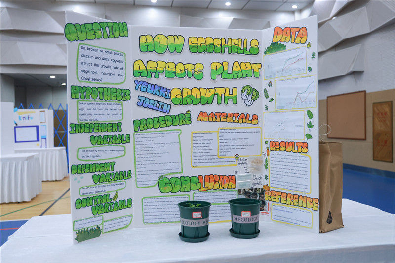 MYP3-The Effect of Eggshell Type on the Growth Rate of Shanghai Green Seeds.jpg