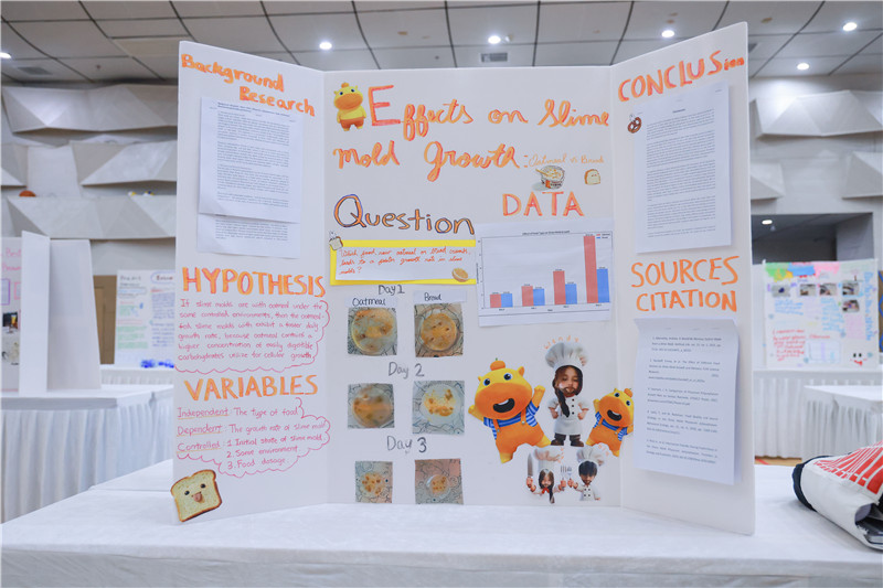 MYP3-The Growth Rate of Slime Molds Oatmeal vs. Bread Crumbs.jpg