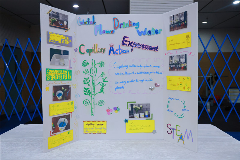 G3-Colourful Flowers Absorbing Water.jpg