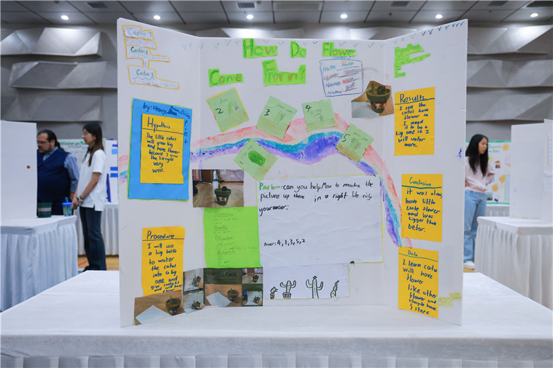 G2-Where do flower come from.jpg